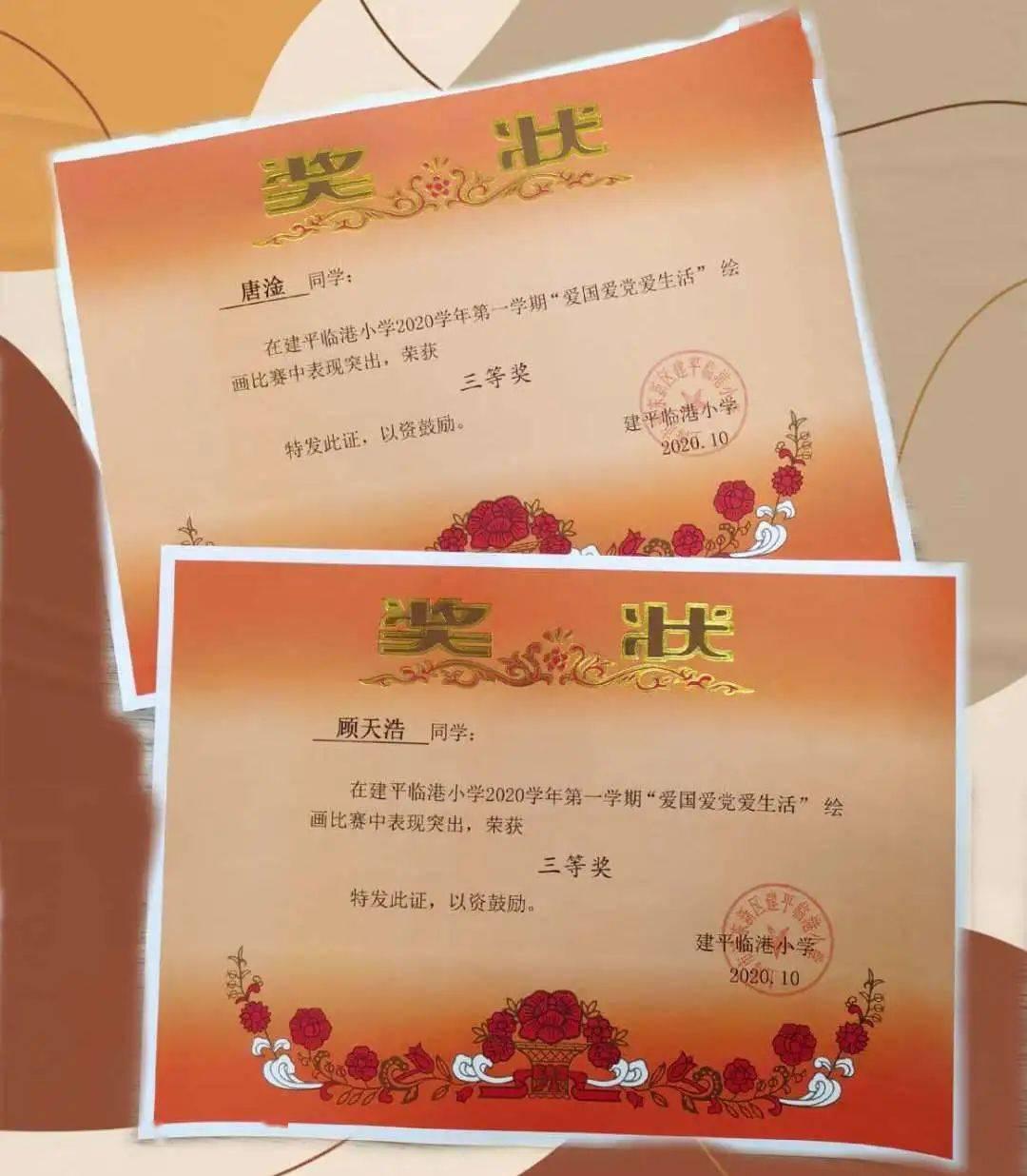 冷知识分享平台-孵化机孵出来的鹦鹉大鹦鹉给喂食吗?,轻松探索独特的知识宝库